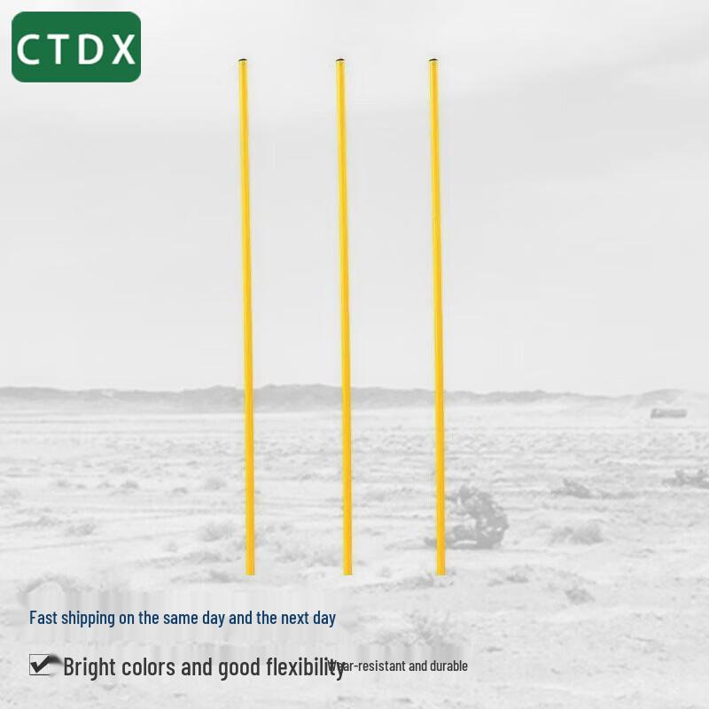 CTDX Sports Training Agility Poles