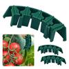 Plant Clips Flower Stem Support Easy To Use Reusable Tomatoes Peppers Plant Vine Vegetable Fastening Clips Plant