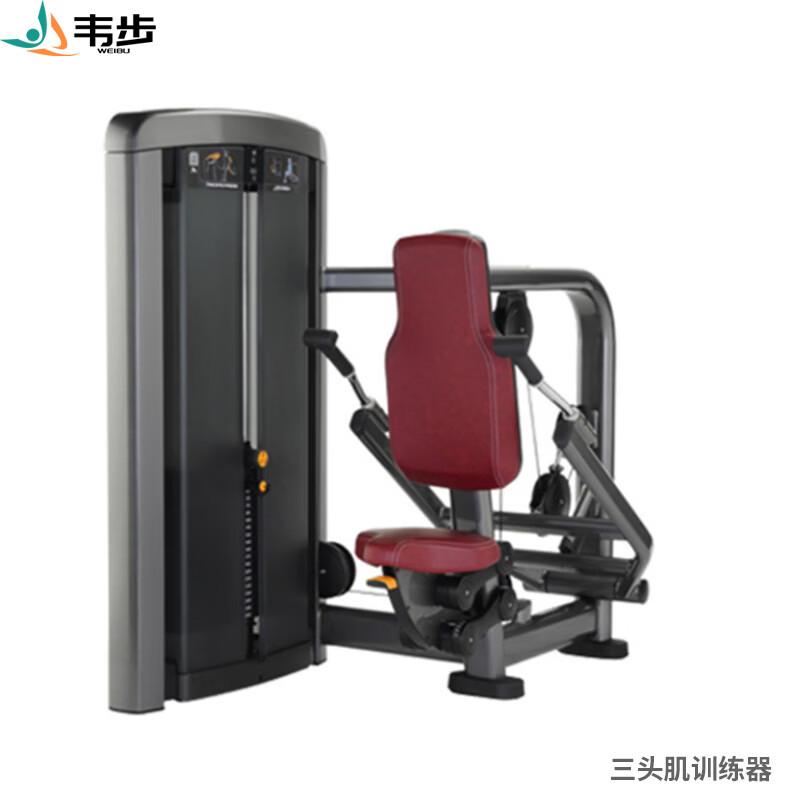 Wai Bu LS510 Commercial Seated Triceps Press Machine