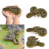 Имитация ПВХ Рептилия Corallus Enydris Модель для Детской Игры и Украшения Класса