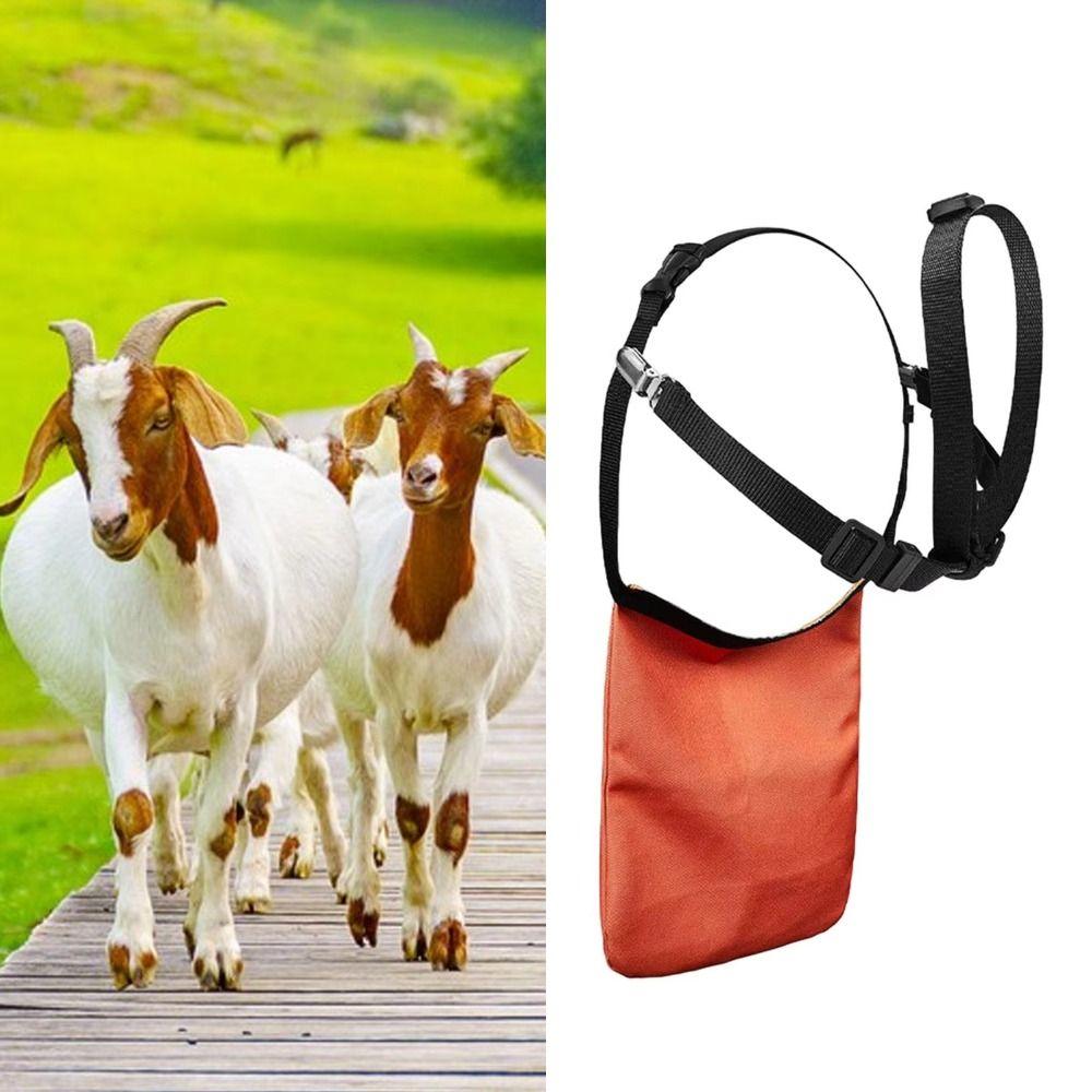 Wear Resistant Breeding Control Goats Skirt Anti Mating Sheep Skirt  Livestock Management