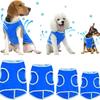 Pet Cooling Vest with Ice Gel Pads – Breathable Summer Cooling Jacket for Dogs & Cats, Heat Relief Gear for Hot Weather