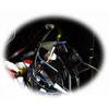CTL Cryogenics EXC-HG ATO Fuse 40 Amp Tin-Plated EXC-HG-ATO40Sn for Car Audio and Automotive Electrical Systems