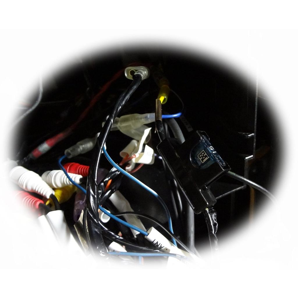 CTL Cryogenics EXC-HG ATO Fuse 40 Amp Tin-Plated EXC-HG-ATO40Sn for Car Audio and Automotive Electrical Systems