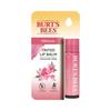 Burt's Bees Tinted Lip Balm 6 Colors, Korean Cosmetics