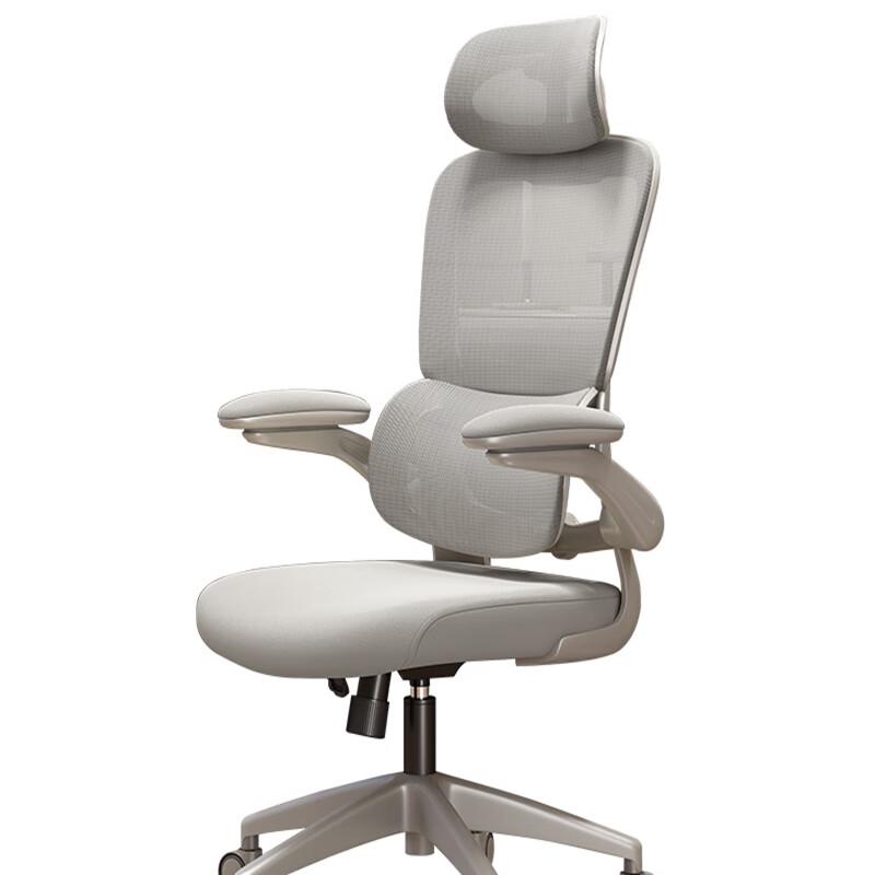 YouShu Ergonomic Office Chair