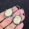 Серьги из ископаемого коралла, серьги ручной работы, драгоценные камни, серьги из стерлингового серебра 925 пробы, ювелирные изделия из ископаемого коралла, подарки для женщин, дизайнерские украшения