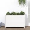 VidaXL Raised Garden Bed White 119.5x40x78 Cm Solid Pine Wood 825290