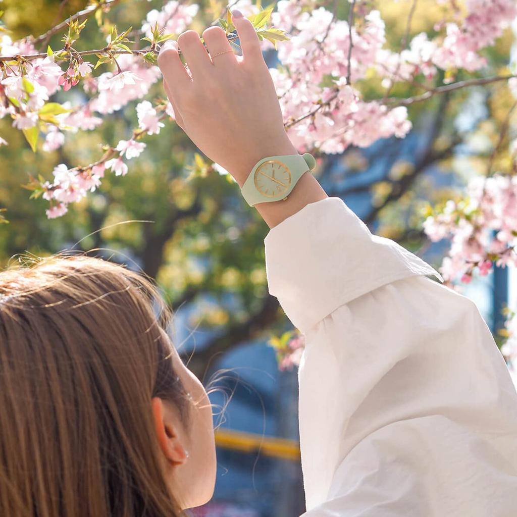 Авторизованный дистрибьютор Часы Ice watch 020542 Ice glam brushed ICE glam brushed нефритовый маленький [Ice-watch] женские