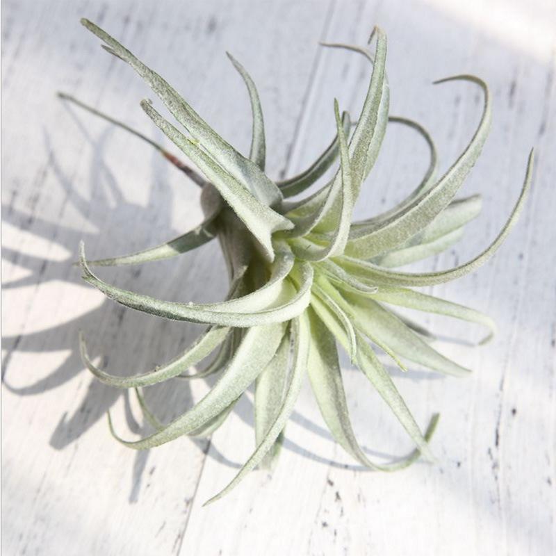 Artificial Pineapple Grass Air Plants Fake Flowers As Home Wall Decoration