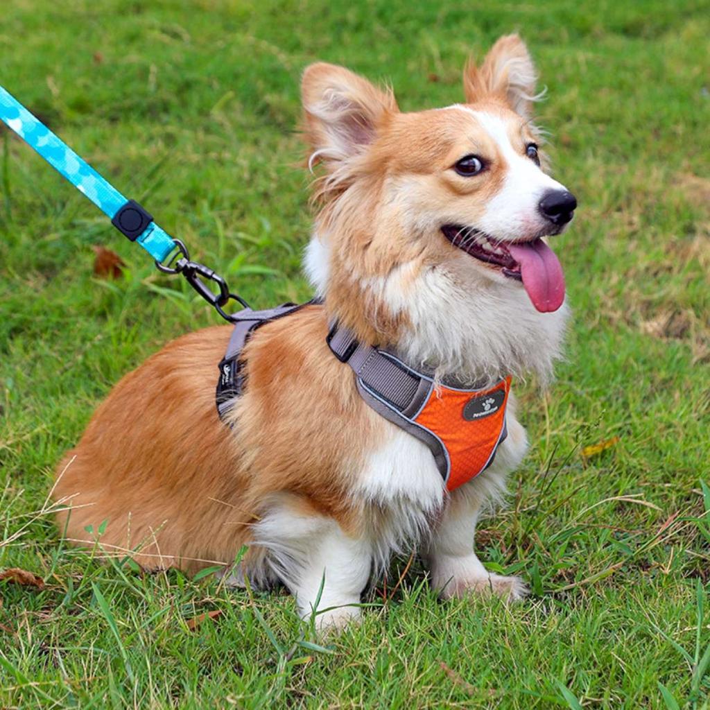 Astro Orange Dog Training Harness For Walking, Size S
