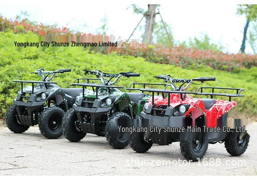 Children's 36v800w Electric All-Terrain ATV 4-Wheeled Beach Buggy