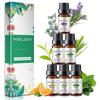 MAYJAM Essential Oils Gift Set Tea Tree Eucalyptus Lavender Pure & Natural Premium Therapeutic Grade Organic Aromatherapy Essential Oils