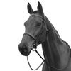 Kincade Hunt Leather Cavesson Bridle II