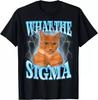 Футболка с мемом Sigma Cat унисекс