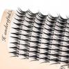 1set Professional Makeup, Personal Eyelash Group, Natural Fluffy False Eyelashes