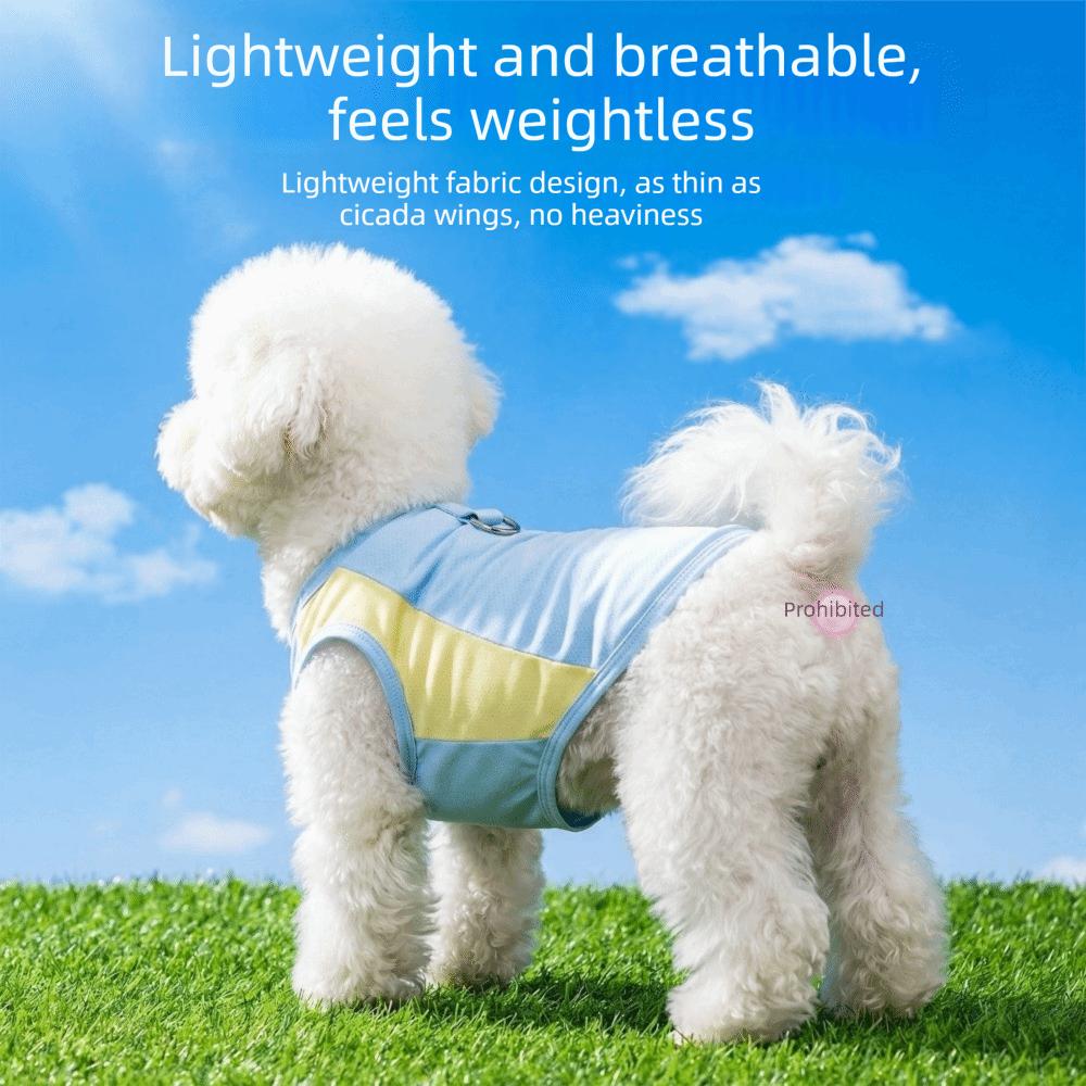 Breathable Mesh Dog Cooling Vest Comfortable Pet Summer Clothes Outdoor Walking