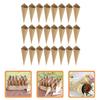 120 Pcs Ties Nut Pod Paper Candy Cones Vintage Flower Bouquet Confetti Petal Covers for Women Women's