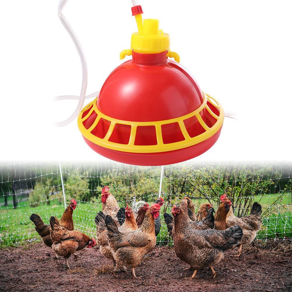 Automatic Poultry Water Dispenser Durable Fountaion Kettle Chicken Feeder Quails