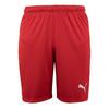 Puma 70429001 Короткие шорты Lee Core
