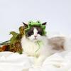 Дагонгнетс Кот Кот Домашнее животное Маленькая собака Кот Поставляется с Легко надевать и фотографировать Шляпа, Косплей, Шляпа, Шляпа, Головной убор, Уши, Выкл., Милый, Прогулка, Путешествие,