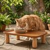 Non-Slip Base Pet Feeding Stand Sturdy Pet Food Table Platform Elevated Pet Feeder  for pets