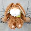 NICI Spring Rabbit Plush Toy, Cute and Ugly Pet, Gift, Brown, 25cm