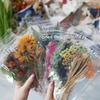 6pcs Vintage Dried Flower PET Sticker Decorative Diary Craft Scrapbook Planner Journal Aesthetic Stationery