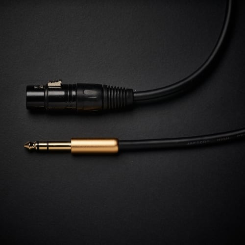 Cliche 6.35mm TRS To XLR Canon Conversion Cable (2-Pack) 6.35mm (1/4 Inch) Stereo Male To XLR Female Conversion Cable (1m)