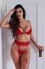 Bra Pantyhose Garter Set Red