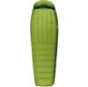 Спальный мешок Sea To Summit Ascent AcII Reg (STS AAC2-R)