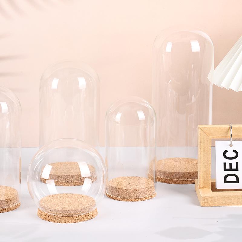 Ins Style Preserved Flower Glass Dome with Cork Base - Creative Dustproof Display Ornament