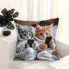 Наволочка для подушки 3D с принтом кота, наволочка для подушки, дизайн со скрытой молнией, съемная, моющаяся, декоративная наволочка для подушки