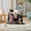 Kpop PPLAVE Pillow Case Silky elegant Comfort Sofa Bed Invisible zipper