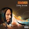 CD COMMON - Finding Forever B000967102 Выходим 2007 США Рэп и Хип-хоп/R&B Б/У