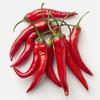 25 Cayenne Pepper Seeds