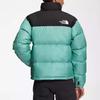 THE NORTH FACE 1996 Down Jacket Winter Men's Multicolor NF0A3C8D-6R7