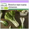Organic - Chinese Mustard Cabbage - Pak Choi - 300 Seeds - Brassica Rapa