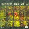 CD РАЗНЫЕ ИСПОЛНИТЕЛИ - Jungle Jazz Vol.3  Не японский джаз Б/У