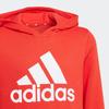 Adidas Kids Sweatshirts Hooded Moderate GN4037