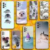 Cute and Funny Seals Phone Case Silicone For Samsung S30,23,21,22,20 FE lite,S10,9,PIus Note20ultra Soft Transparent