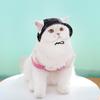 Dog Cat Summer Sunshade Sun Protection Cat Hat Anti-take Off Adjustable Rope Buckle Bucket Hat Dog Pet Supplies