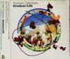 CD KENTARO TAKIZAWA - Gradual Life FLRC047 Flower Records 2006 Япония Танцевальная и Электронная Музыка Б/У