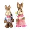 2 Pieces Standing Bunny Figurine Couple Statue Centerpiece Rabbit Decoration for Table,