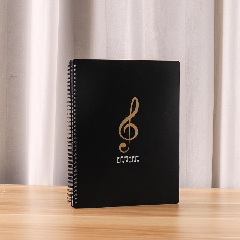 Папка для рисования и нот с прозрачным вкладышем формата А4