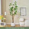 Silk Turtle Back Potted Plant: Indoor Floral Decoration for Weddings, Homes, and Windows