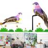 12Pcs Beautiful Colorful Simulation Foam Bird Decor Garden Plants Decoration Ornament