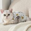 Железная стена Друзья Кошка Стерилизация Костюм L