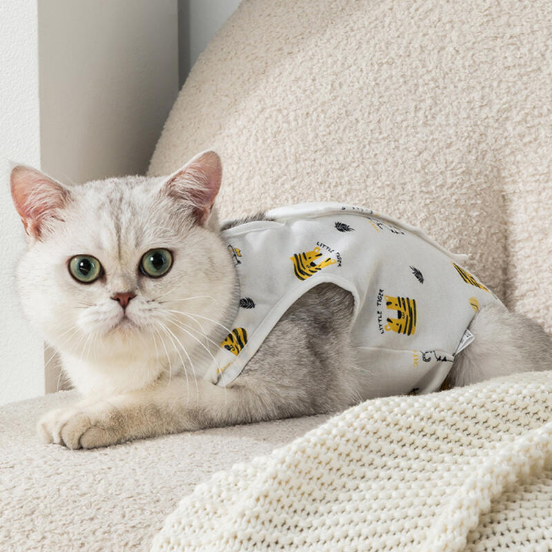 Железная стена Друзья Кошка Стерилизация Костюм L