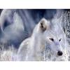 5D DIY алмазная живопись животное волк полный круглый горный хрусталь вышивка художественная картина горный хрусталь мозаика украшение дома подарок